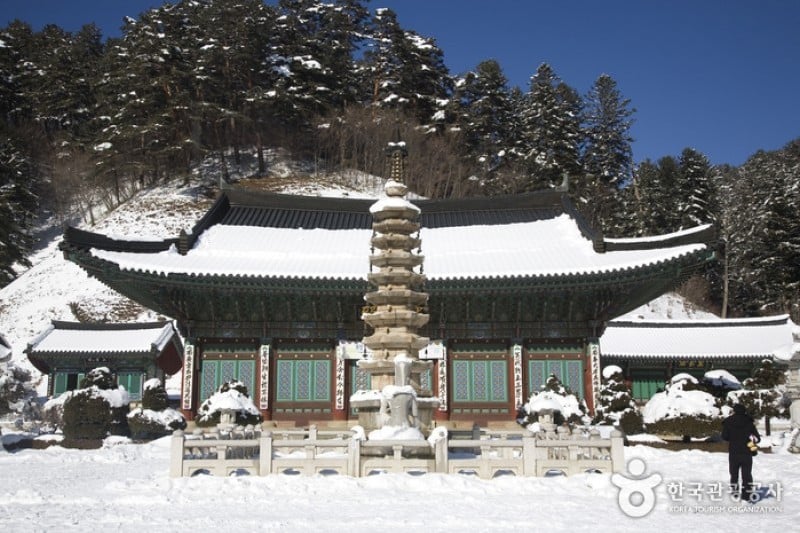 Woljeongsa Temple  (50/51)
