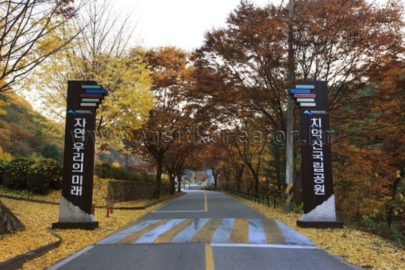 Chiaksan National Park  (4/43)