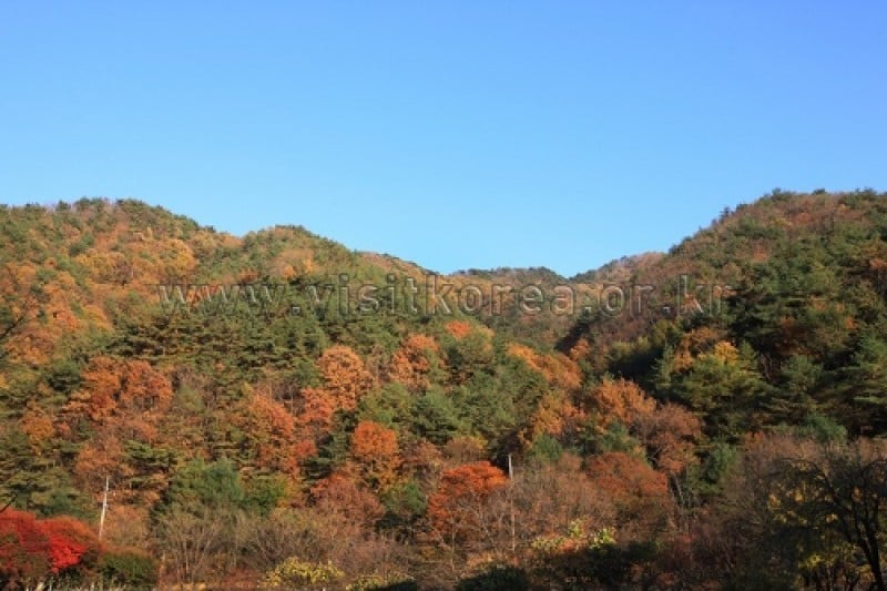 Chiaksan National Park  (5/43)