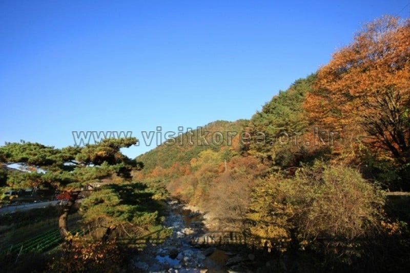 Chiaksan National Park  (6/43)