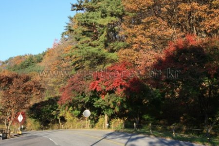 Chiaksan National Park 