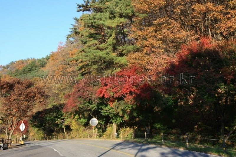 Chiaksan National Park  (8/43)