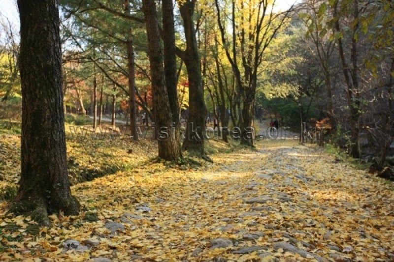 Chiaksan National Park  (13/43)
