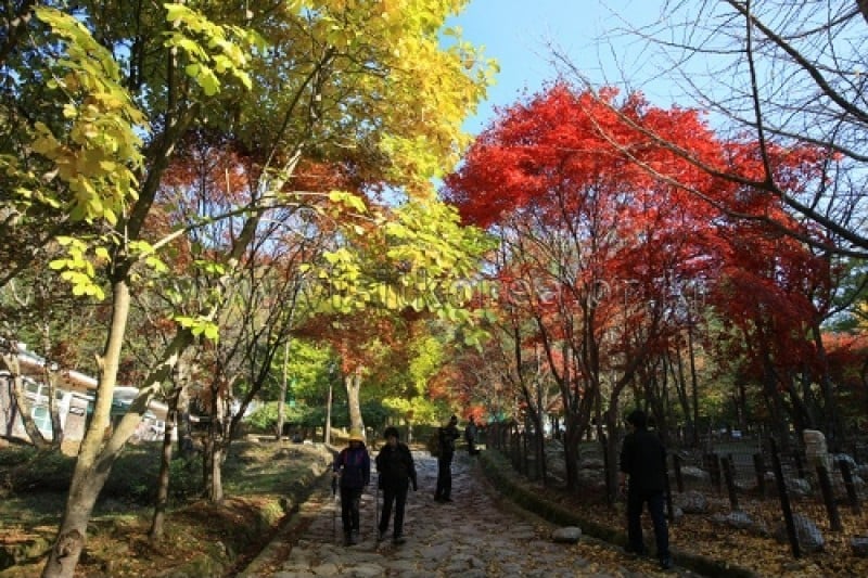 Chiaksan National Park  (15/43)