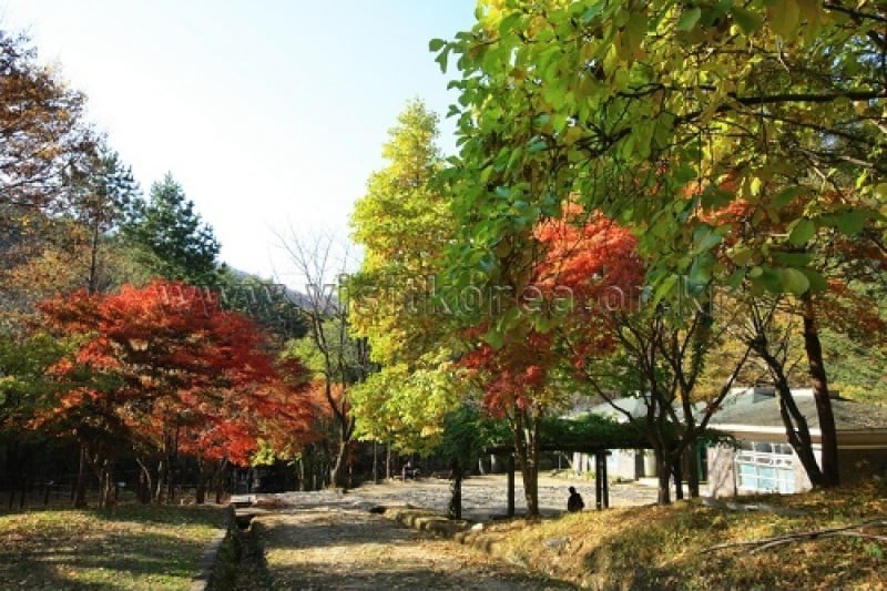 Chiaksan National Park  (16/43)