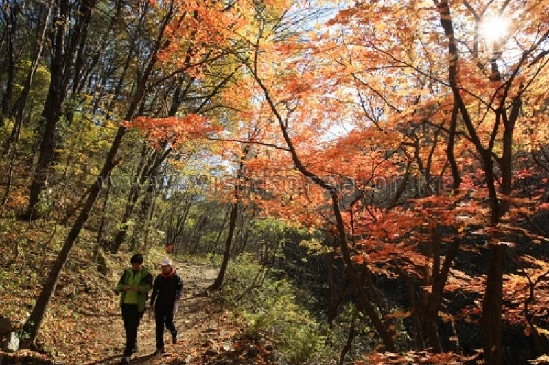 Chiaksan National Park  (19/43)