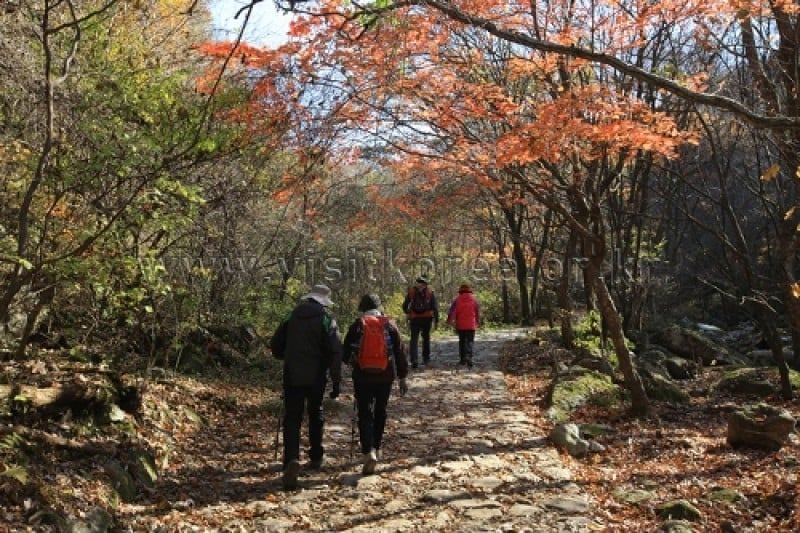 Chiaksan National Park  (21/43)