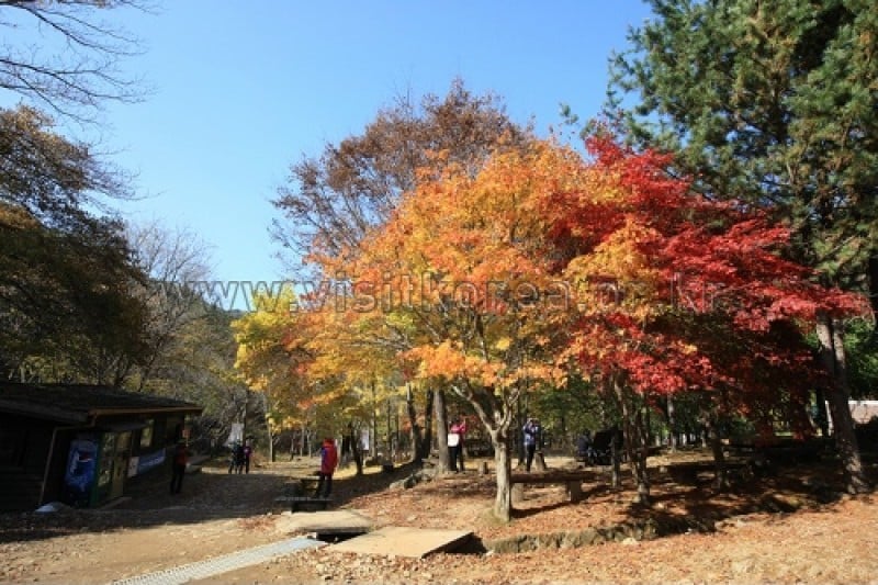 Chiaksan National Park  (22/43)