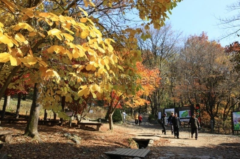 Chiaksan National Park  (23/43)