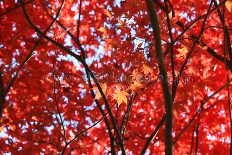 Chiaksan National Park  (24/43)