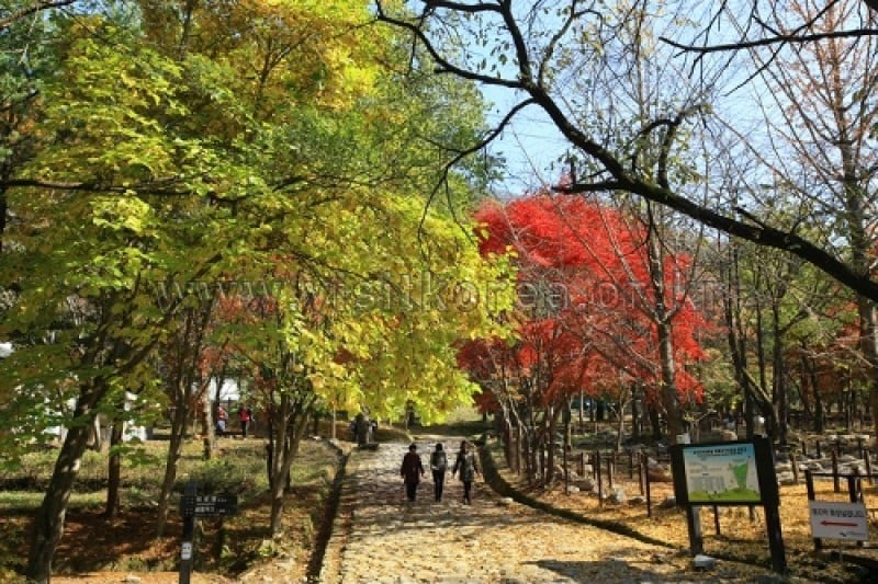 Chiaksan National Park  (26/43)