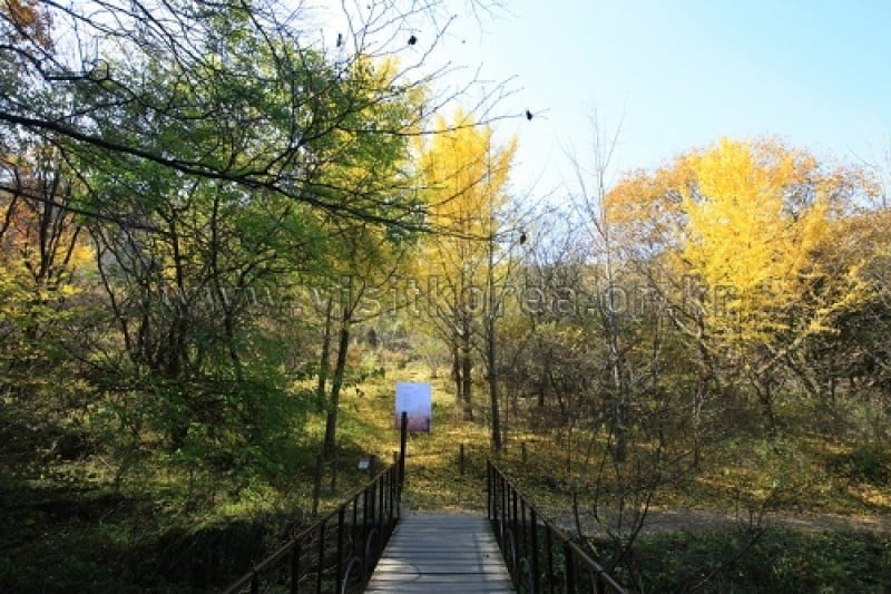 Chiaksan National Park  (27/43)