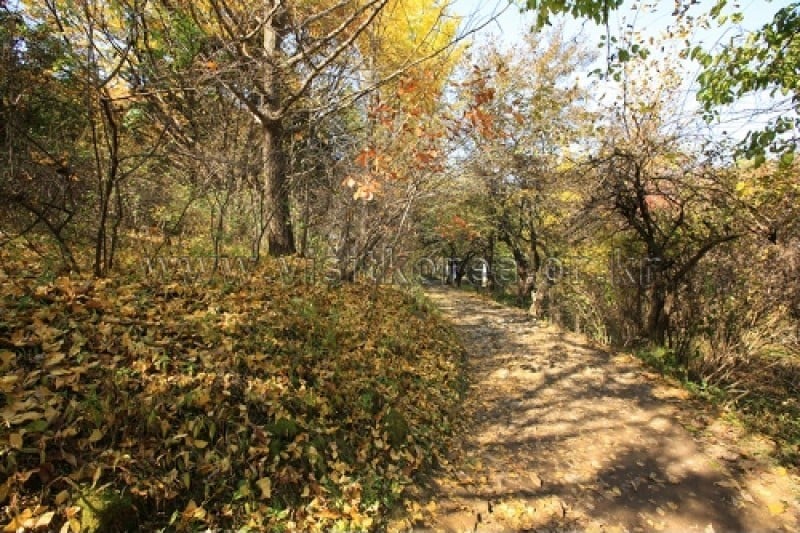 Chiaksan National Park  (28/43)