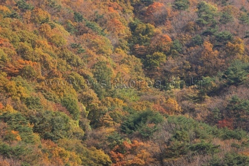 Chiaksan National Park  (30/43)