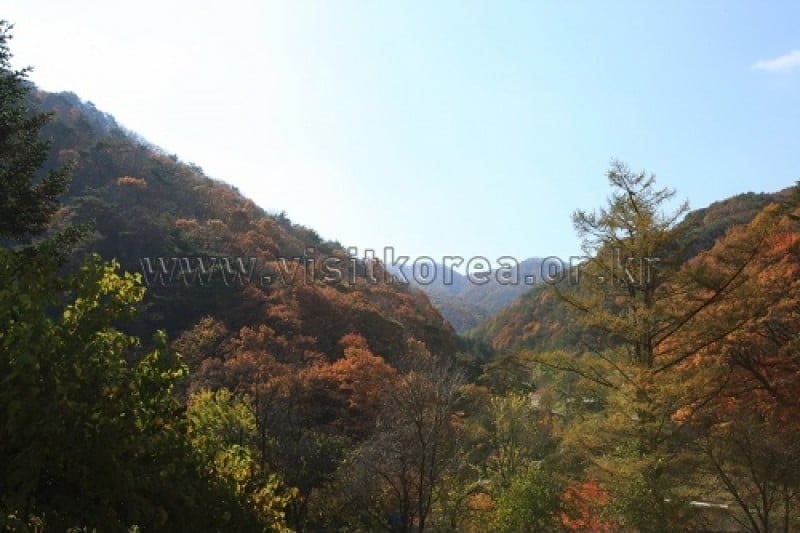Chiaksan National Park  (37/43)