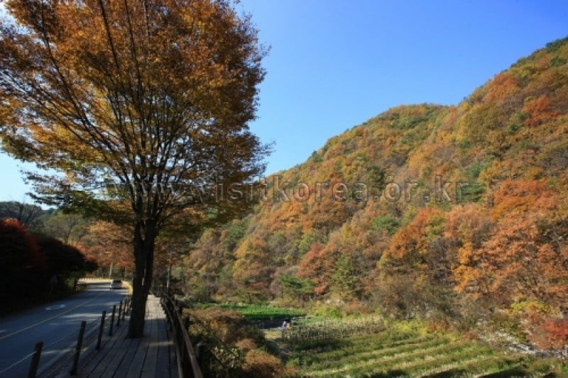 Chiaksan National Park  (39/43)