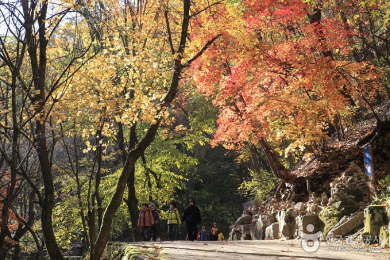 Gugok Falls  (15/16)
