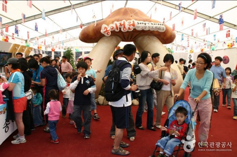 Yangyang Songi Festival  (5/10)