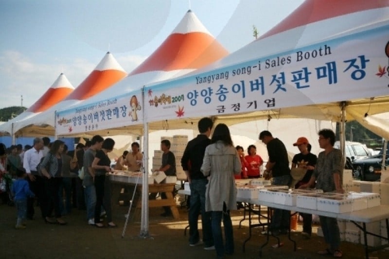 Yangyang Songi Festival  (8/10)