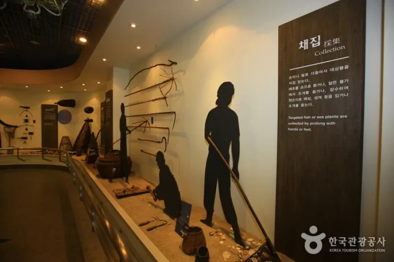 Sokcho Museum &amp; Displaced Civilians Folk Village  (9/20)