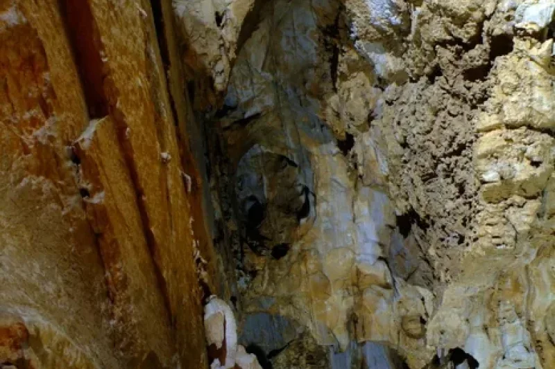 Gossi Cave  (7/12)