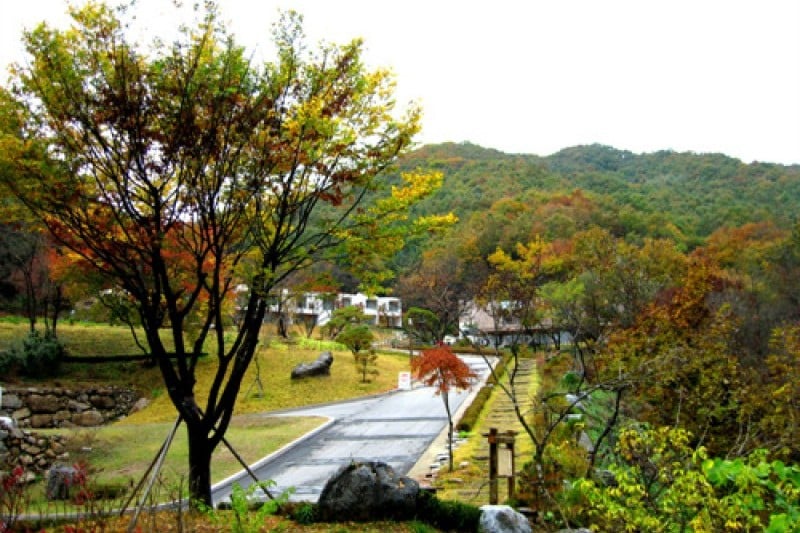 Healience Zen Village  (7/25)