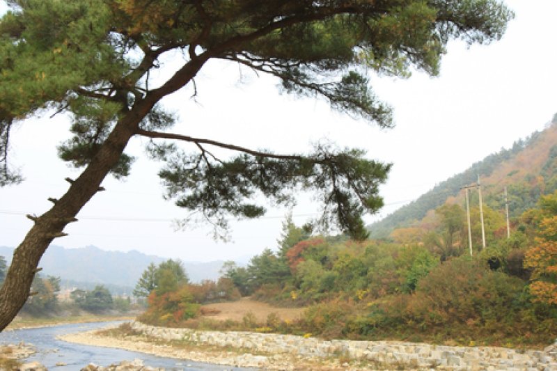 Geumdang Valley  (7/14)