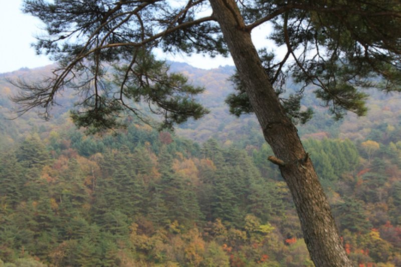 Geumdang Valley  (13/14)