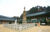 Woljeongsa Temple Stay 