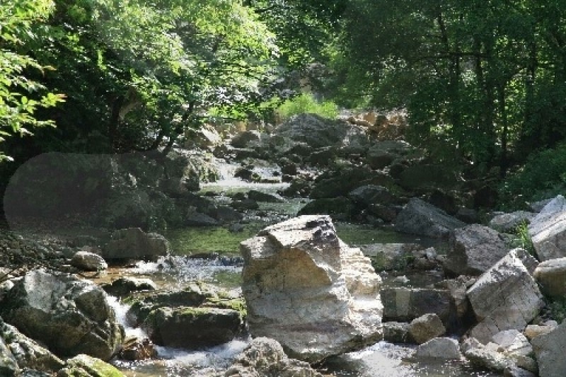 Yongso Valley  (2/4)