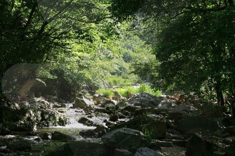 Yongso Valley  (4/4)