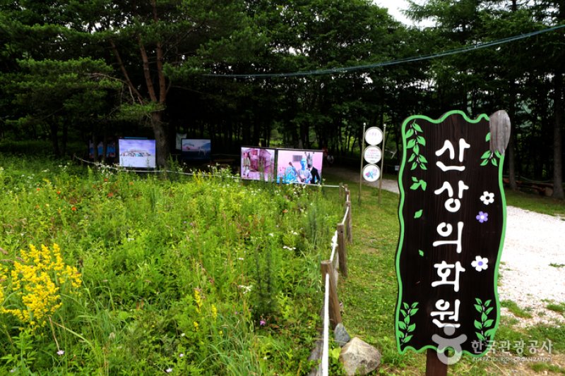 Hambaeksan Mountain  (5/6)