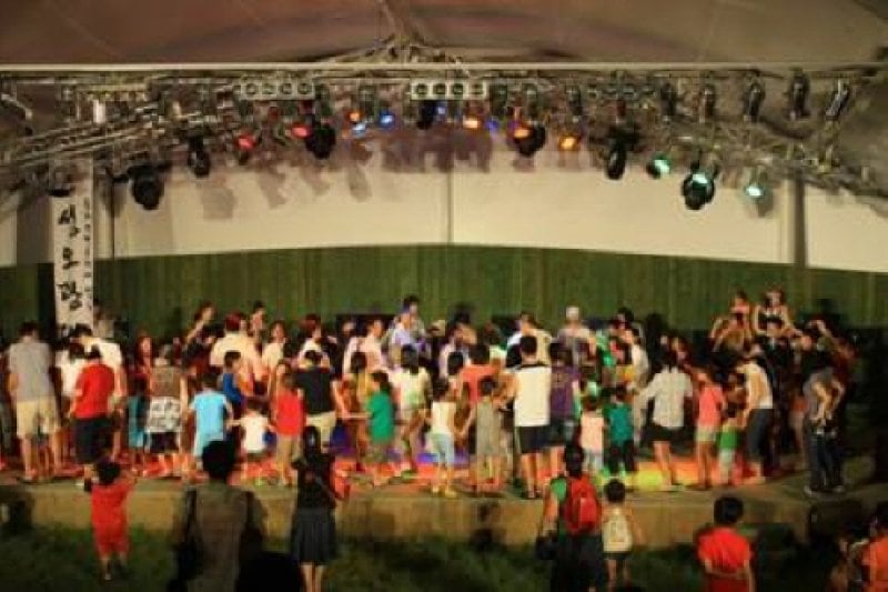Chuncheon Puppet Festival  (6/11)