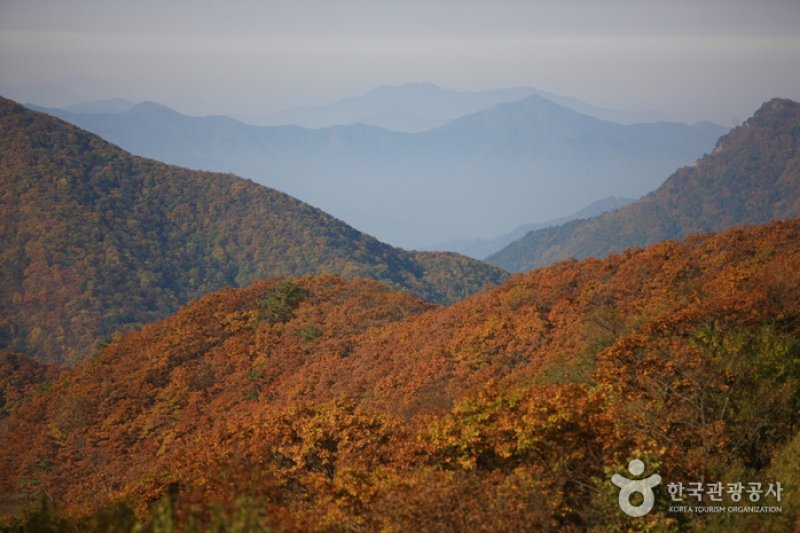 Manhangjae Hill  (3/11)