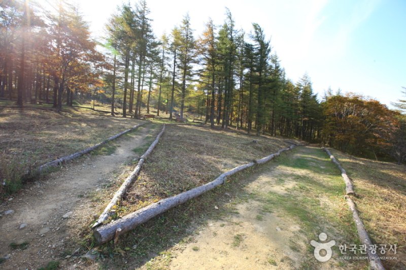 Manhangjae Hill  (4/11)