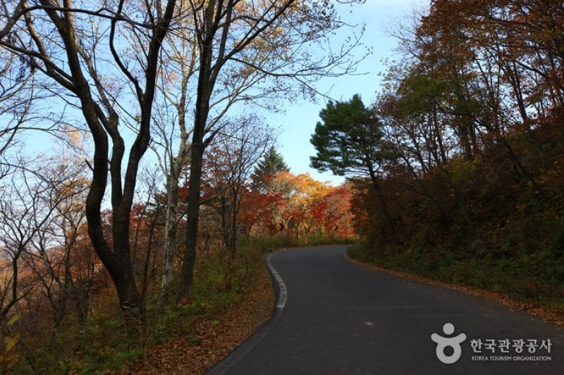 Manhangjae Hill  (5/11)