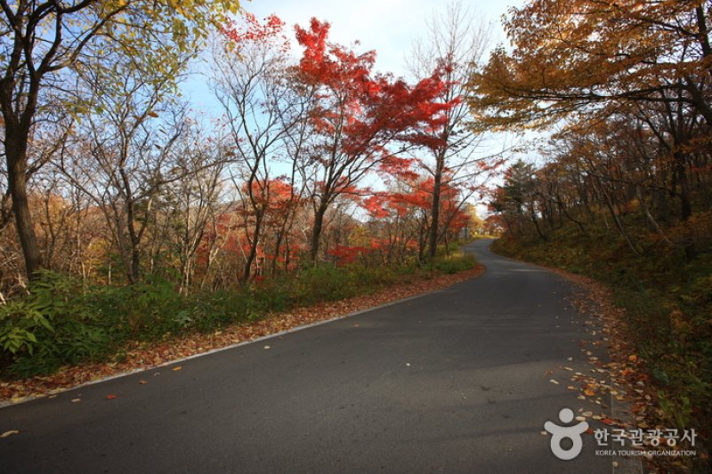 Manhangjae Hill  (6/11)