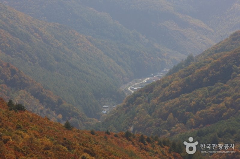 Manhangjae Hill  (8/11)