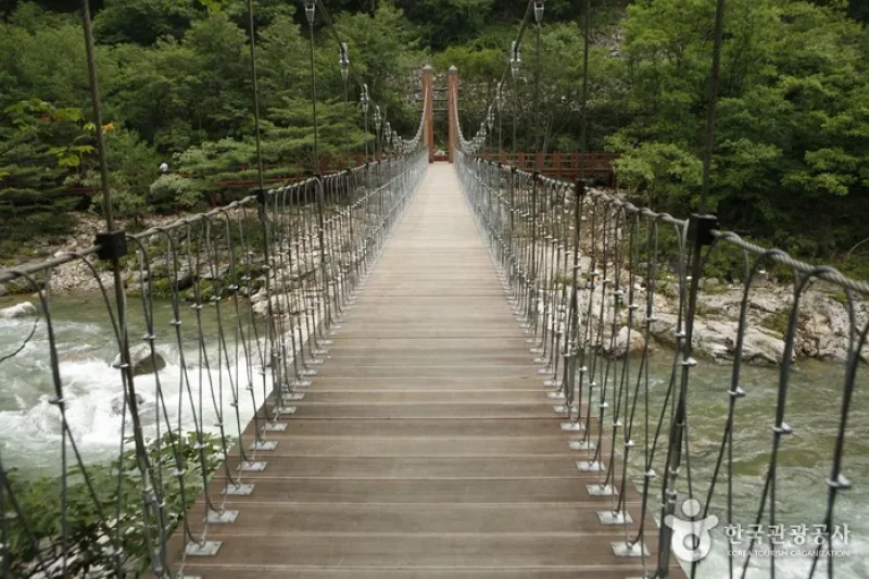 Dutayeon Falls 