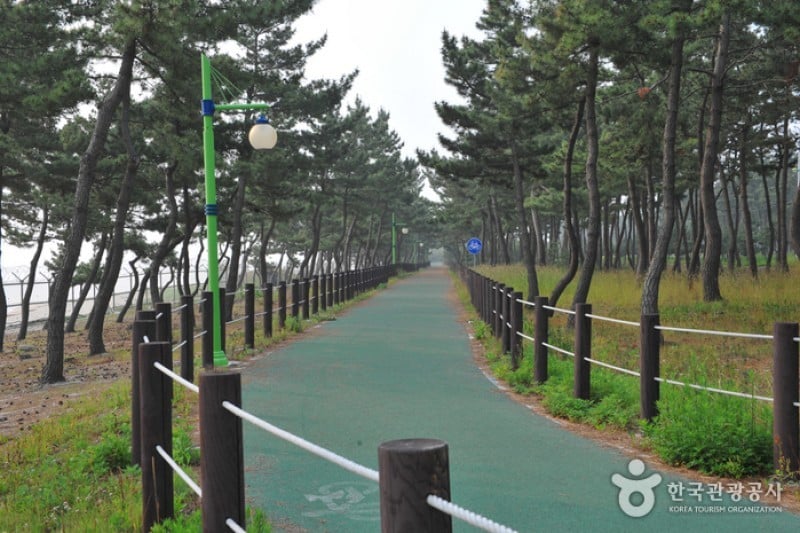 Sacheon Beach  (2/10)