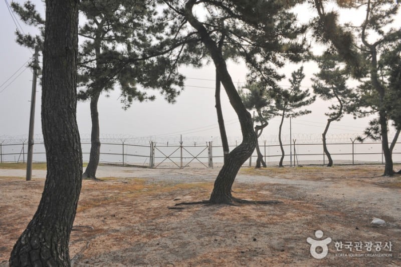 Sacheon Beach  (4/10)