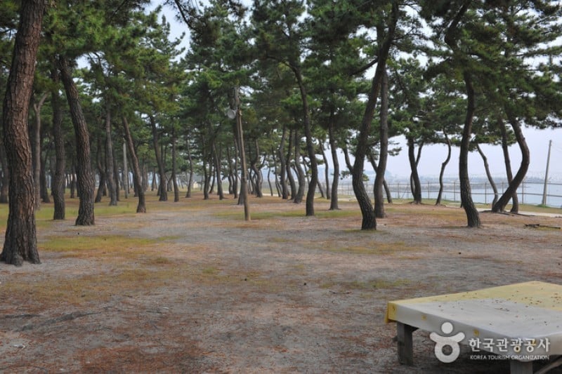 Sacheon Beach  (5/10)