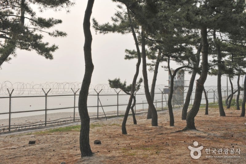 Sacheon Beach  (6/10)