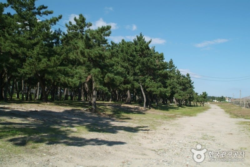 Sacheon Beach  (8/10)