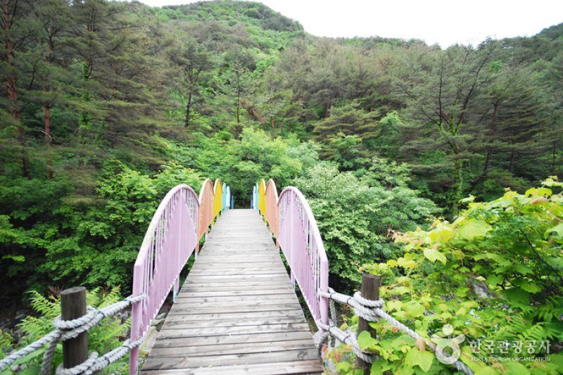 National Gariwangsan Mountain Natural Recreation Forest  (2/20)