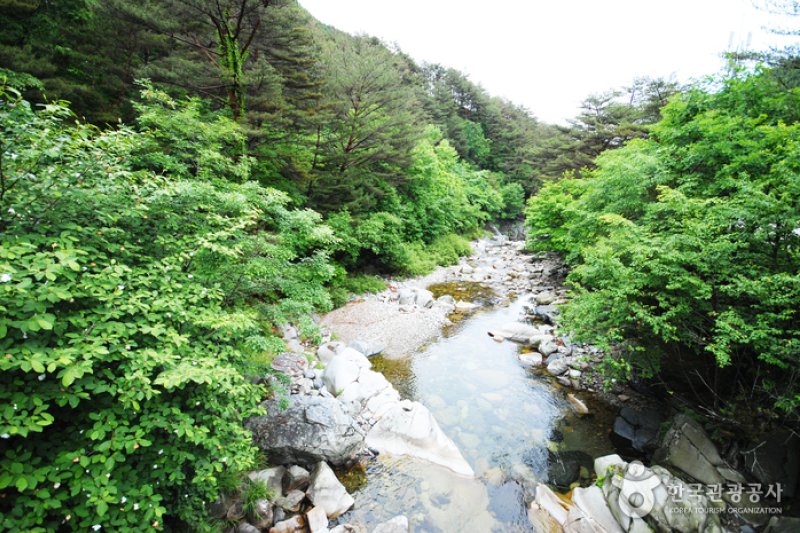 National Gariwangsan Mountain Natural Recreation Forest  (4/20)