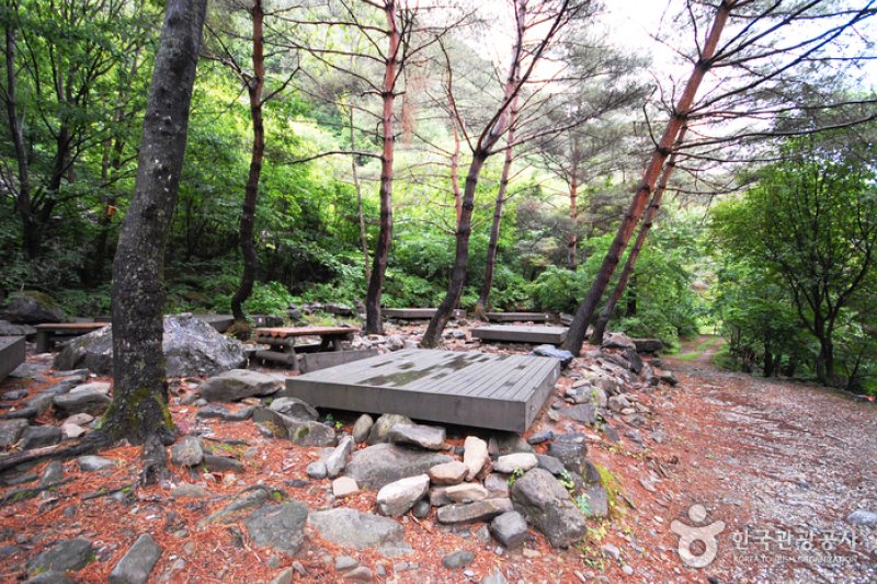 National Gariwangsan Mountain Natural Recreation Forest  (5/20)