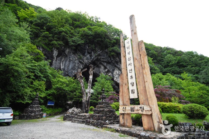 National Gariwangsan Mountain Natural Recreation Forest  (7/20)