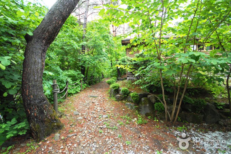 National Gariwangsan Mountain Natural Recreation Forest  (18/20)