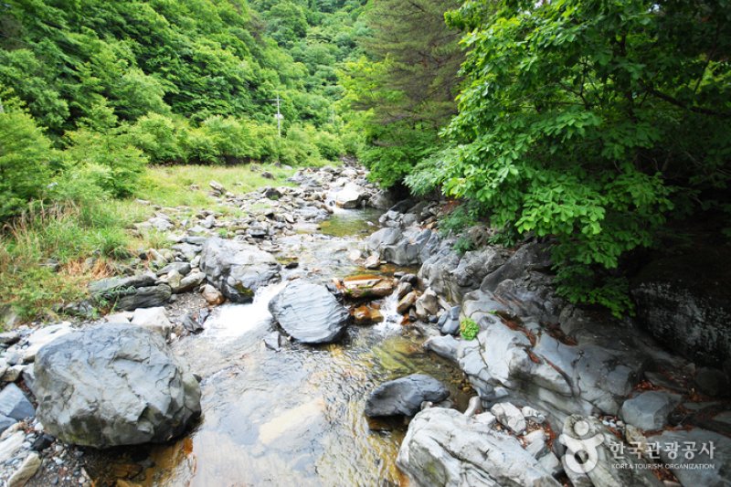 National Gariwangsan Mountain Natural Recreation Forest  (19/20)